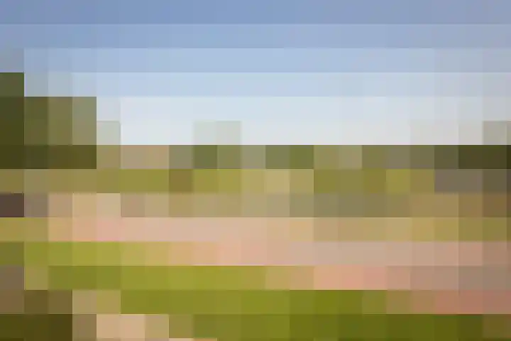 Keizerskroonweg 14 Bovenkarspel thumbnail 21