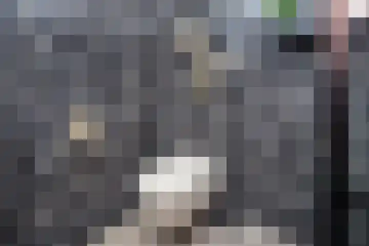 Keizerskroonweg 14 Bovenkarspel thumbnail 24