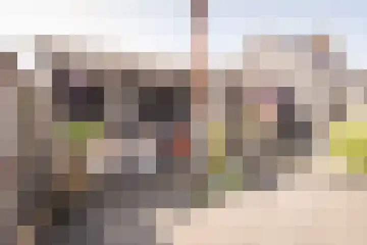 Keizerskroonweg 14 Bovenkarspel thumbnail 29