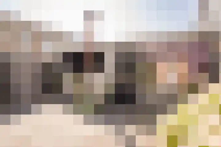 Keizerskroonweg 14 Bovenkarspel thumbnail 30
