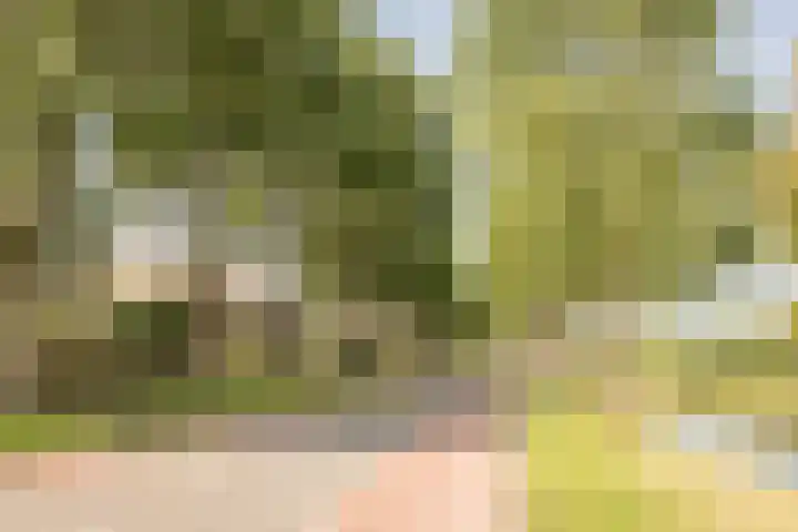 Keizerskroonweg 14 Bovenkarspel thumbnail 37