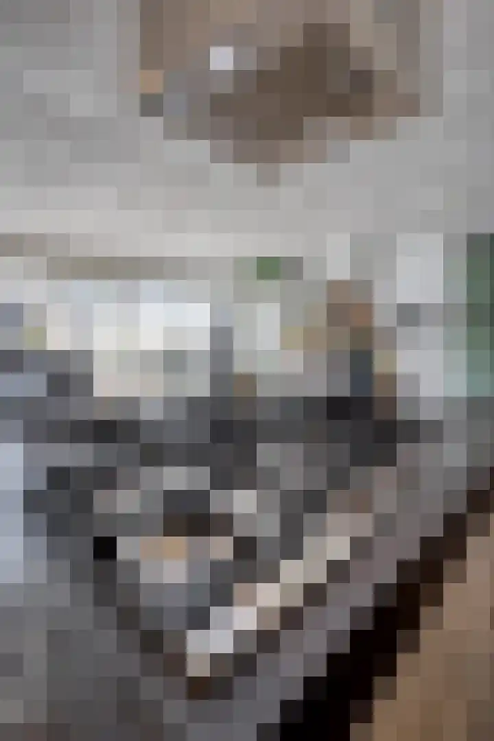 Keizerskroonweg 14 Bovenkarspel thumbnail 47