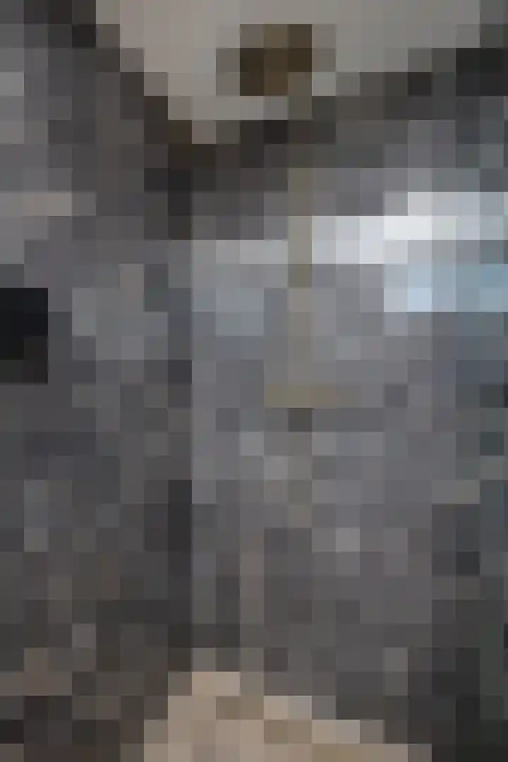 Keizerskroonweg 14 Bovenkarspel thumbnail 48