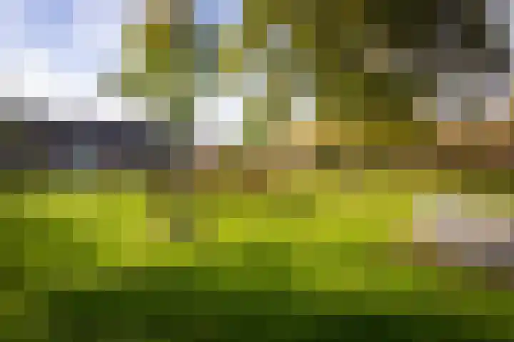 Keizerskroonweg 15 Bovenkarspel thumbnail 10