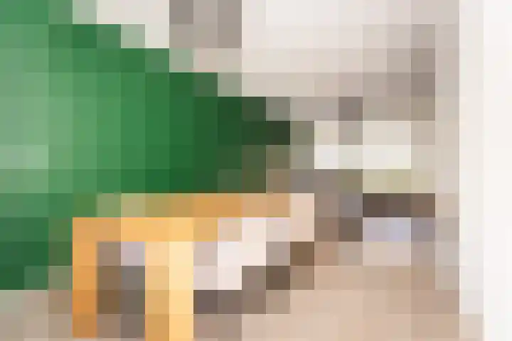Keizerskroonweg 15 Bovenkarspel thumbnail 26