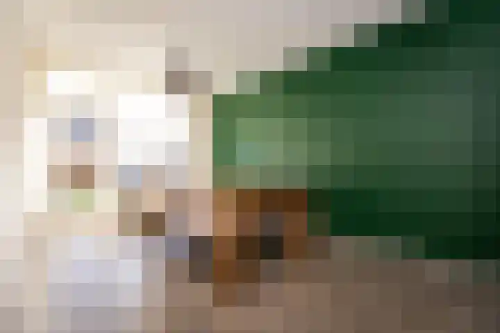 Keizerskroonweg 15 Bovenkarspel thumbnail 5