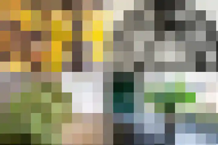 Keizerskroonweg 15 Bovenkarspel thumbnail 53