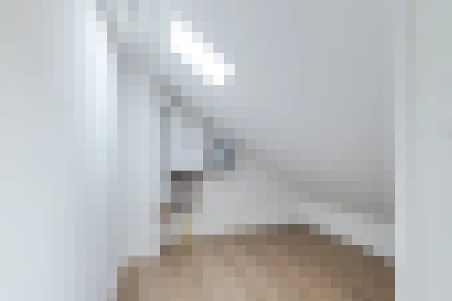 Keizerskroonweg 15 Bovenkarspel thumbnail 58