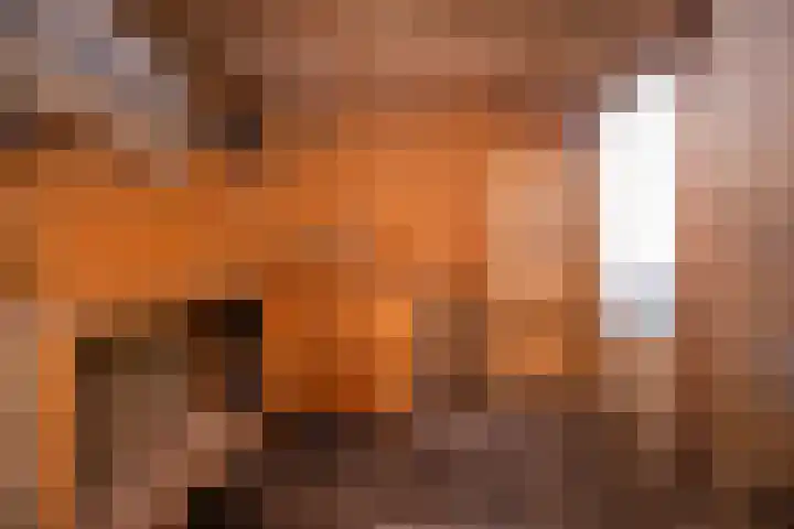 Keizerskroonweg 15 Bovenkarspel thumbnail 6