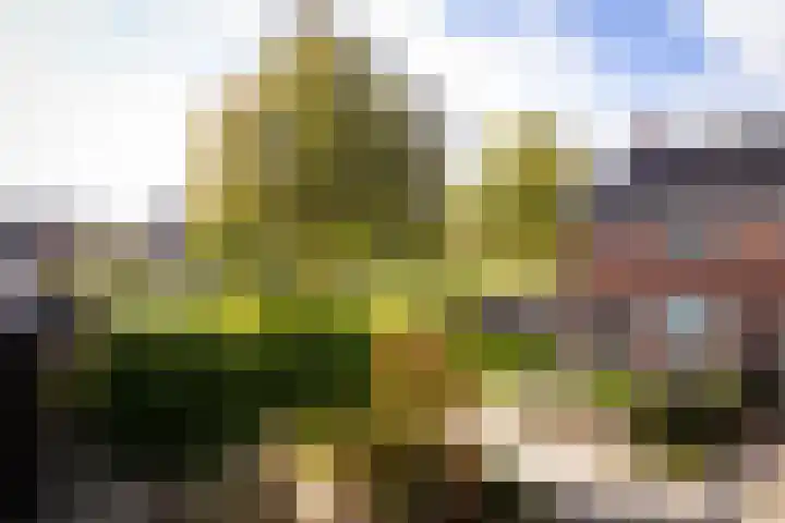 Keizerskroonweg 15 Bovenkarspel thumbnail 9