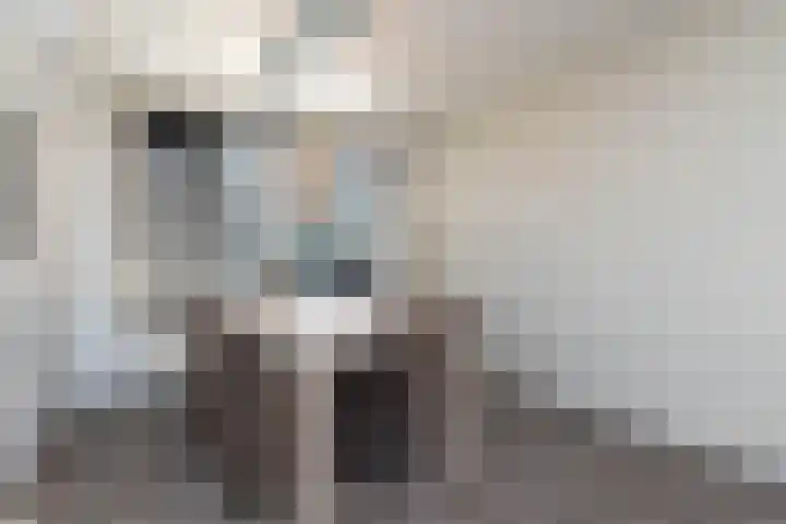 Keizerskroonweg 81 Bovenkarspel thumbnail 16