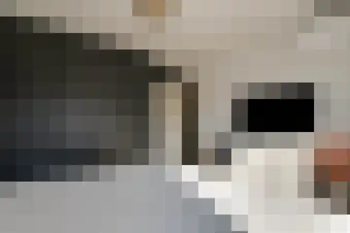 Keizerskroonweg 81 Bovenkarspel thumbnail 24