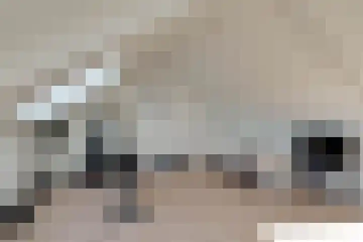 Keizerskroonweg 81 Bovenkarspel thumbnail 34