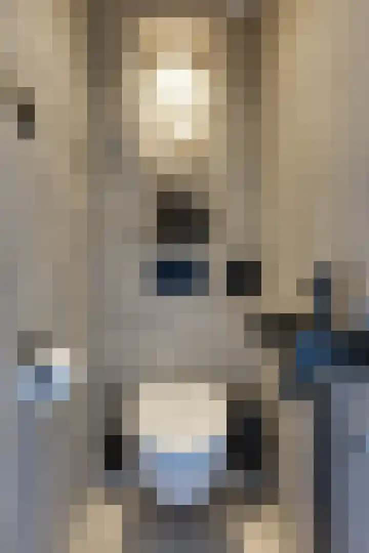 Keizerskroonweg 81 Bovenkarspel thumbnail 7