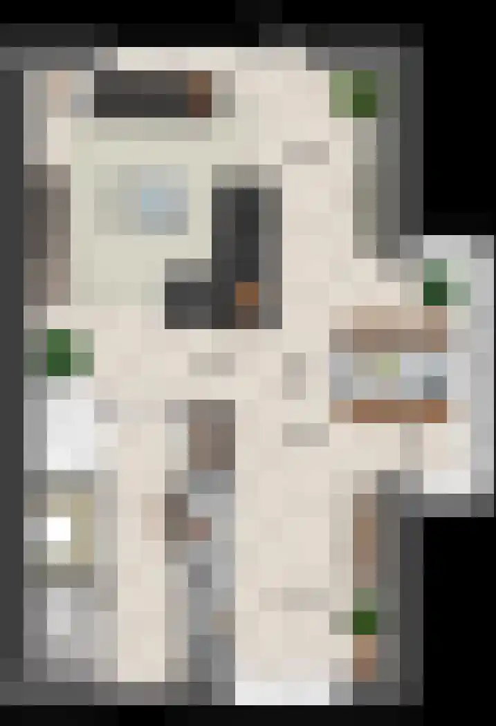 Keizersmantel 10 Driebruggen thumbnail 4