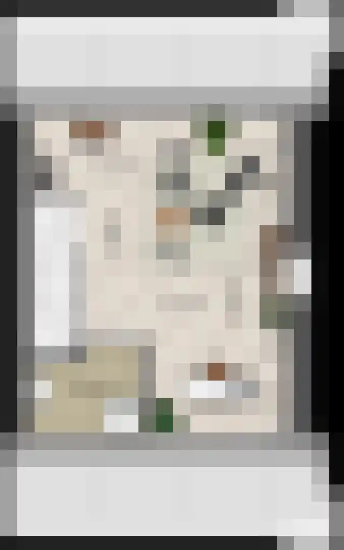 Keizersmantel 10 Driebruggen thumbnail 6