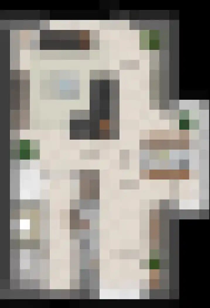 Keizersmantel 11 Driebruggen thumbnail 4