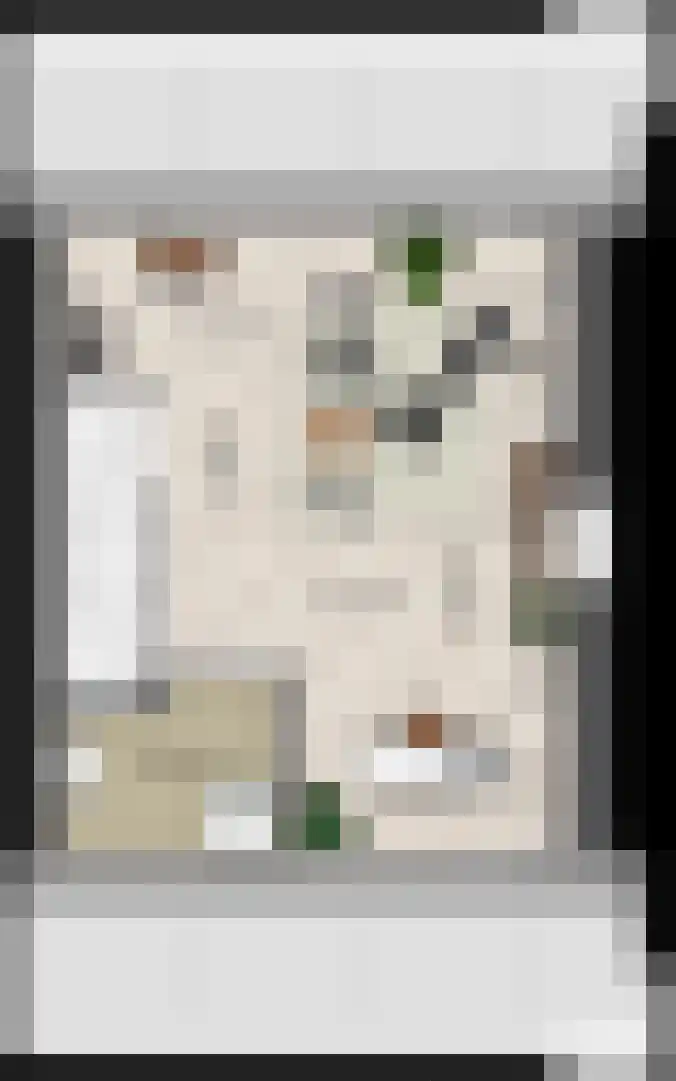 Keizersmantel 11 Driebruggen thumbnail 6