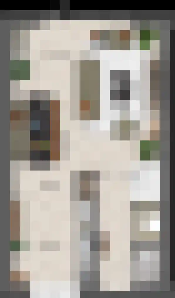 Keizersmantel 16 Driebruggen thumbnail 4