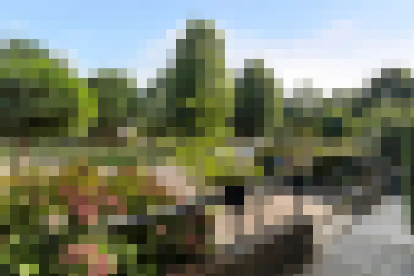 Keizersmantel 18 Breda thumbnail 31