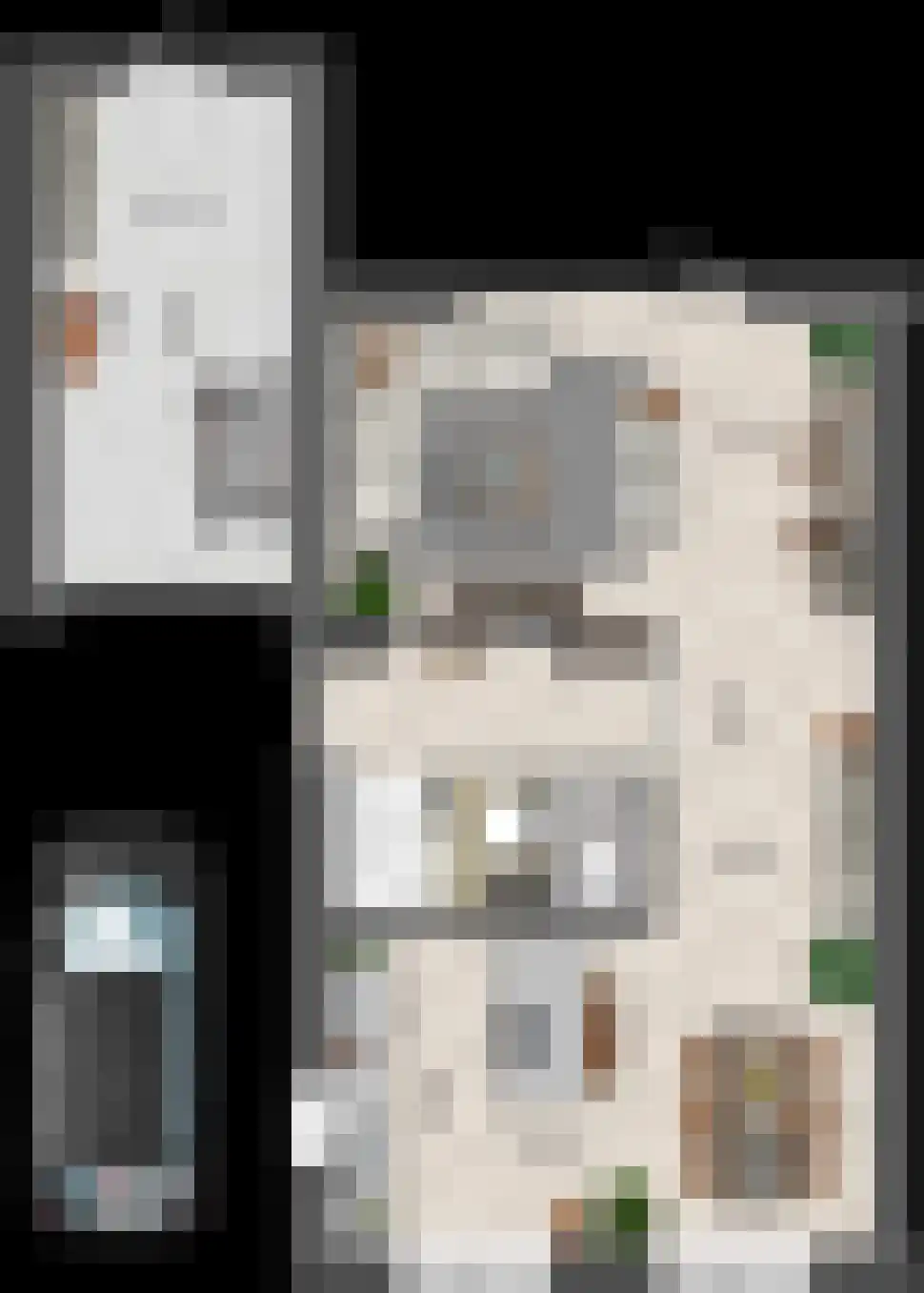 Keizersmantel 2 Driebruggen thumbnail 4