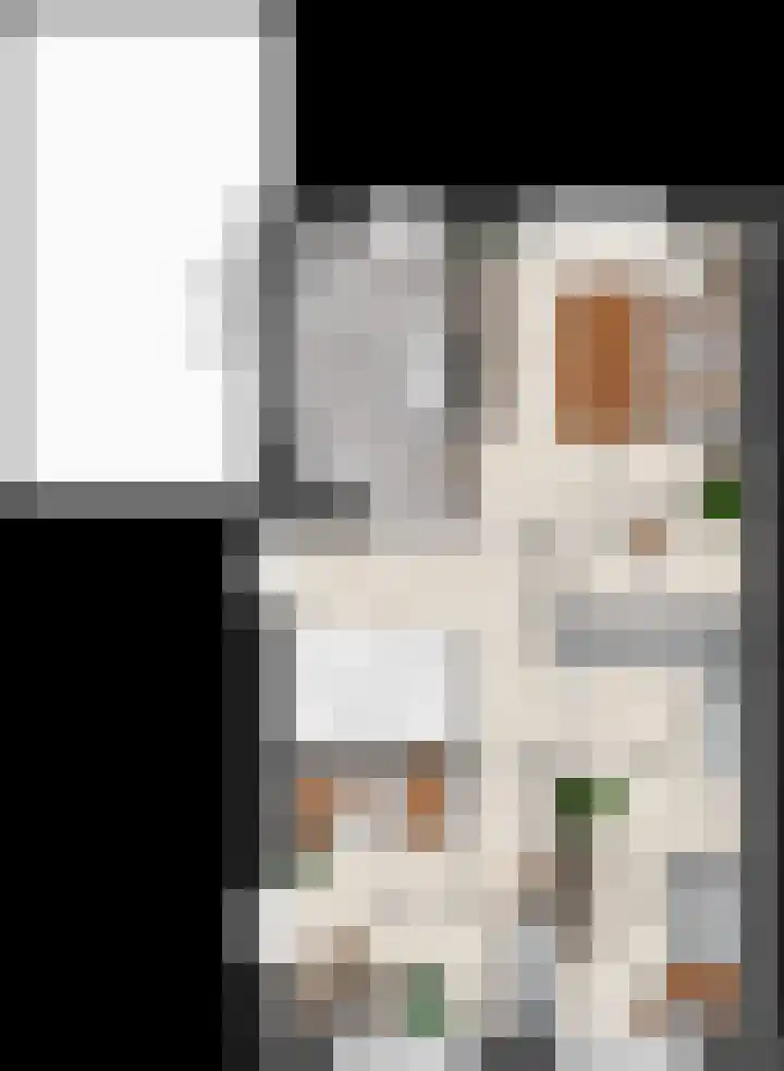 Keizersmantel 2 Driebruggen thumbnail 5