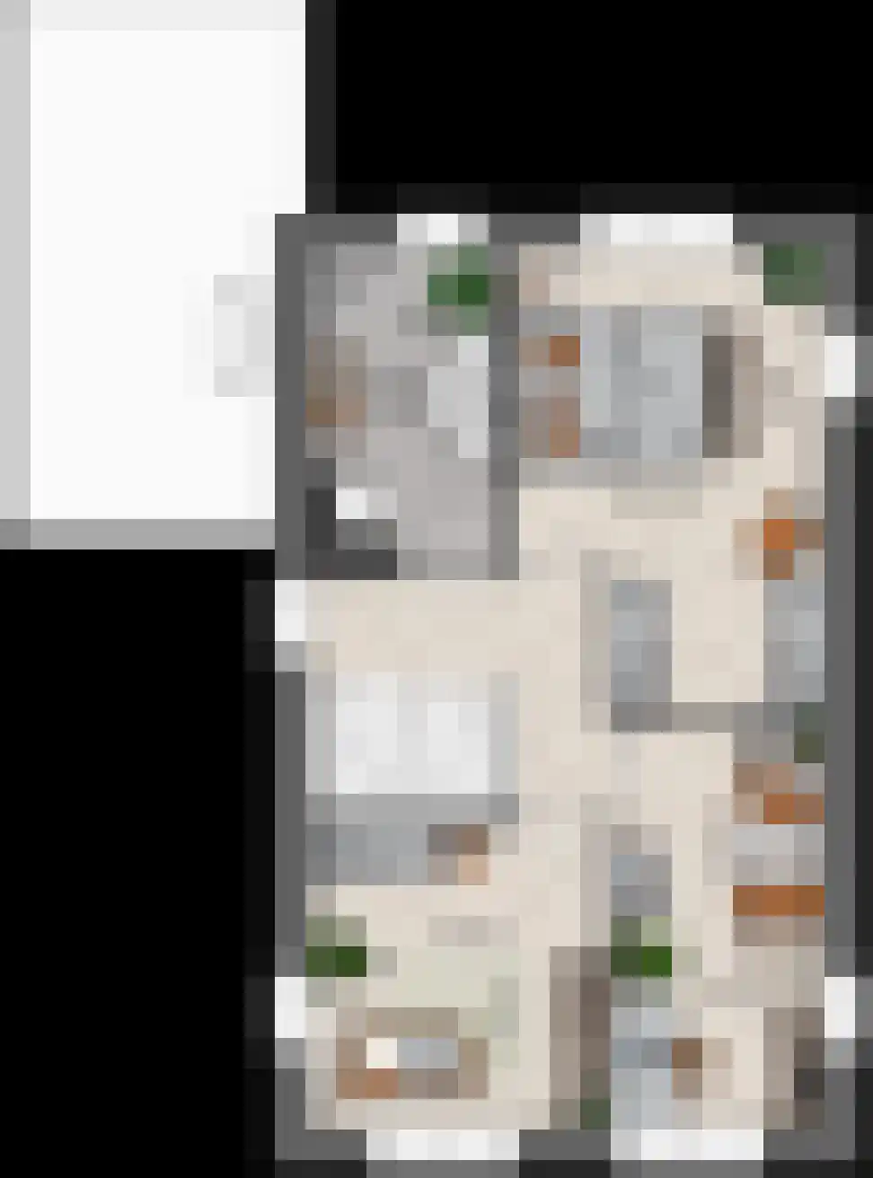 Keizersmantel 20 Driebruggen thumbnail 5