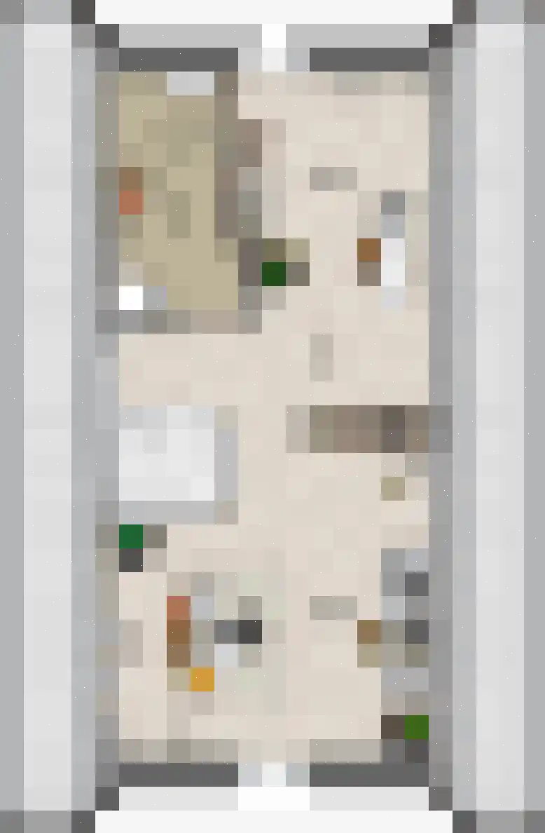 Keizersmantel 20 Driebruggen thumbnail 6