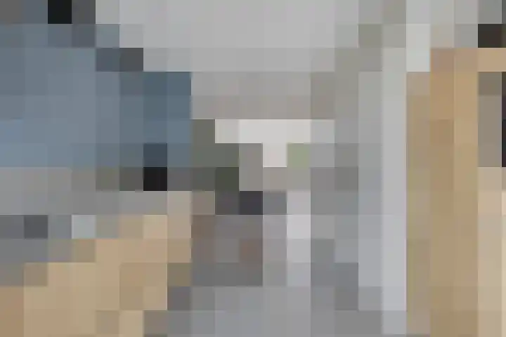 Keizersmantel 21 Breda thumbnail 11