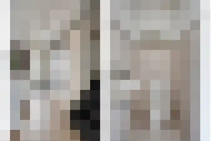 Keizersmantel 21 Breda thumbnail 12