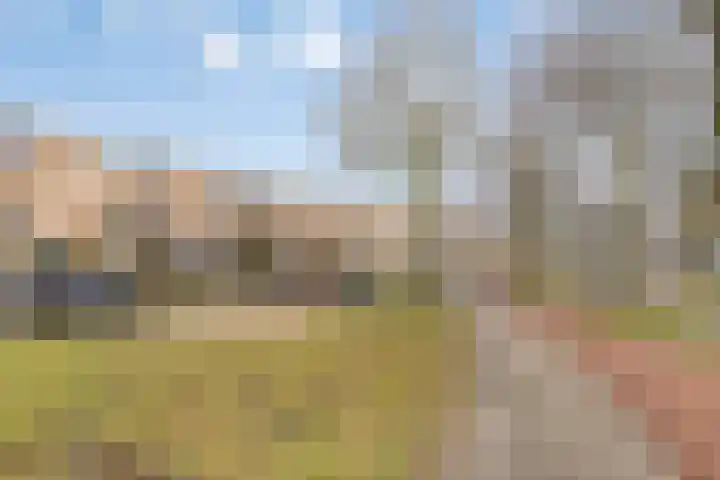 Keizersmantel 21 Breda thumbnail 29