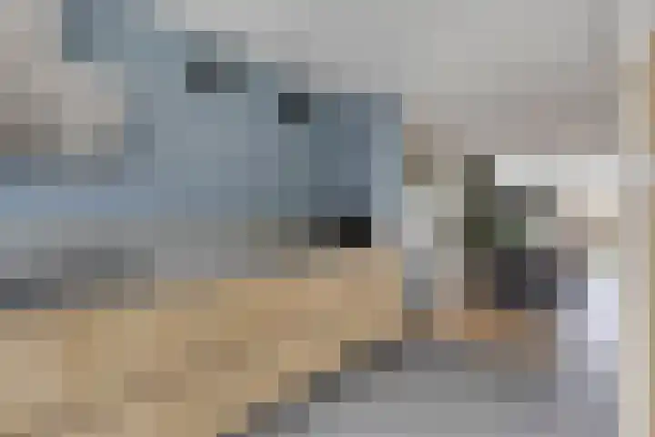 Keizersmantel 21 Breda thumbnail 9