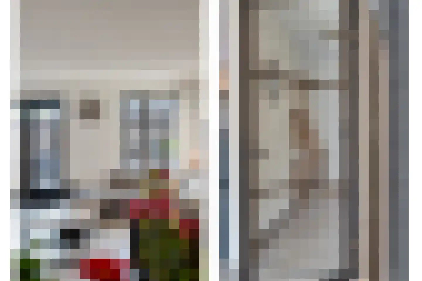 Keizersmantel 3 Hoogeveen thumbnail 20