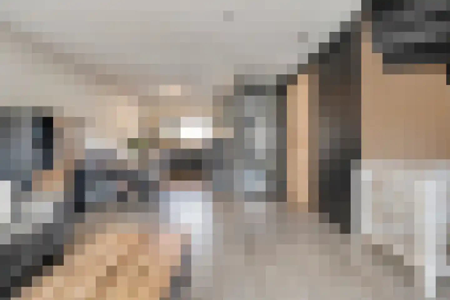 Keizersmantel 3 Hoogeveen thumbnail 21