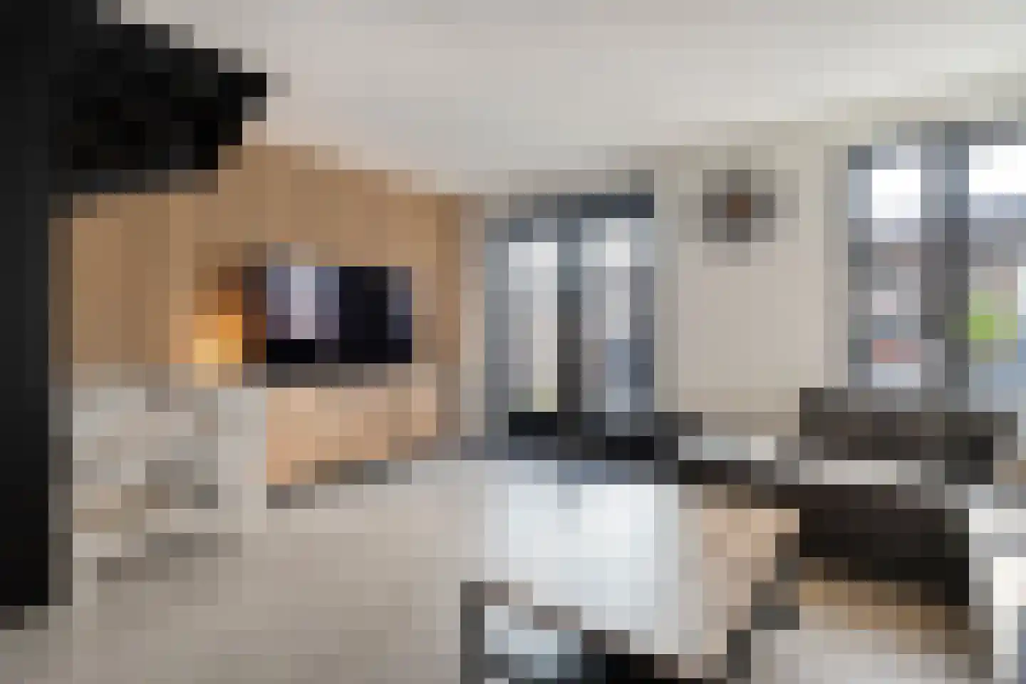Keizersmantel 3 Hoogeveen thumbnail 22