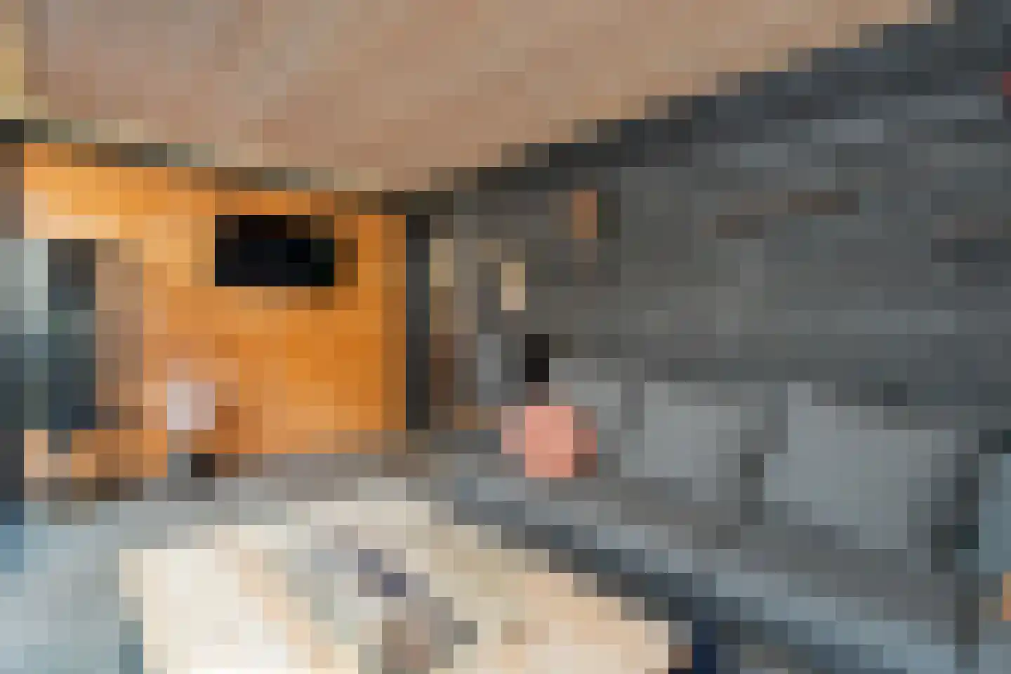 Keizersmantel 3 Hoogeveen thumbnail 34