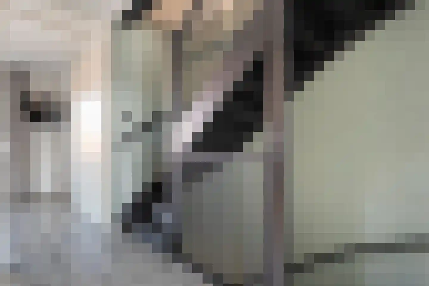 Keizersmantel 3 Hoogeveen thumbnail 39