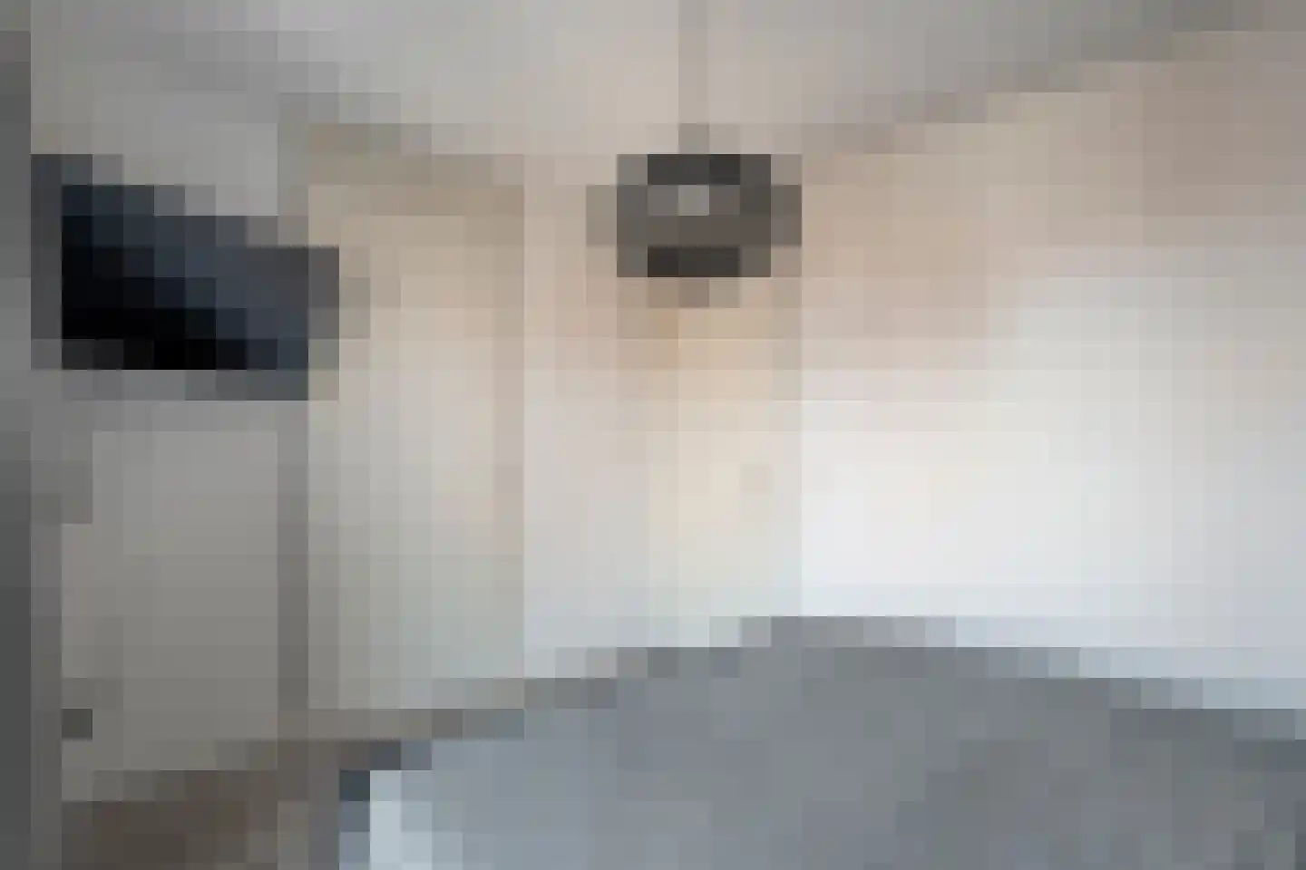 Keizersmantel 3 Hoogeveen thumbnail 41