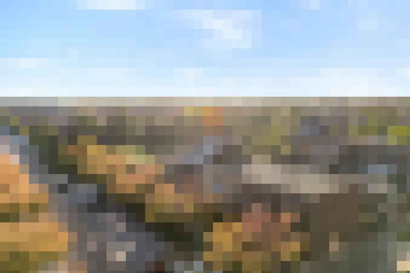 Keizersmantel 3 Hoogeveen thumbnail 9