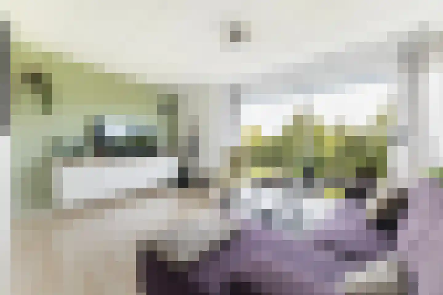 Keizersmantel 309 Sneek thumbnail 13