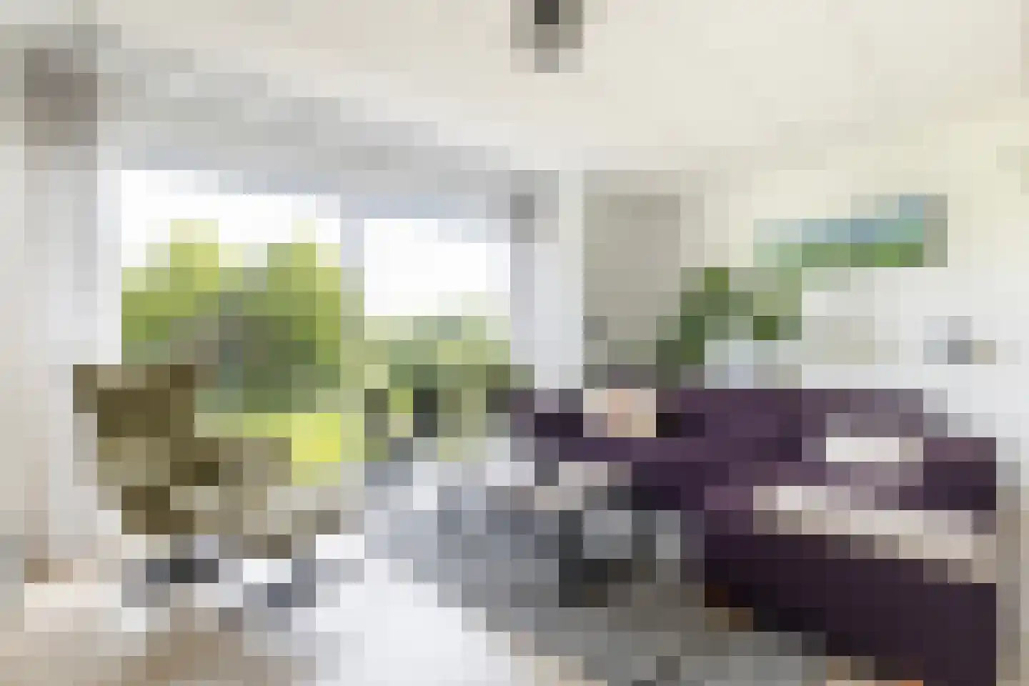 Keizersmantel 309 Sneek thumbnail 14