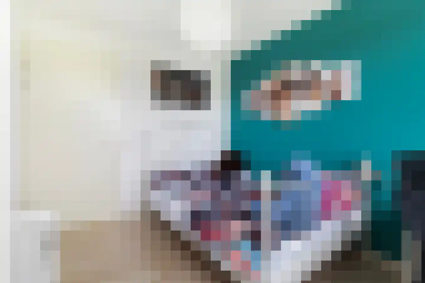 Keizersmantel 309 Sneek thumbnail 23