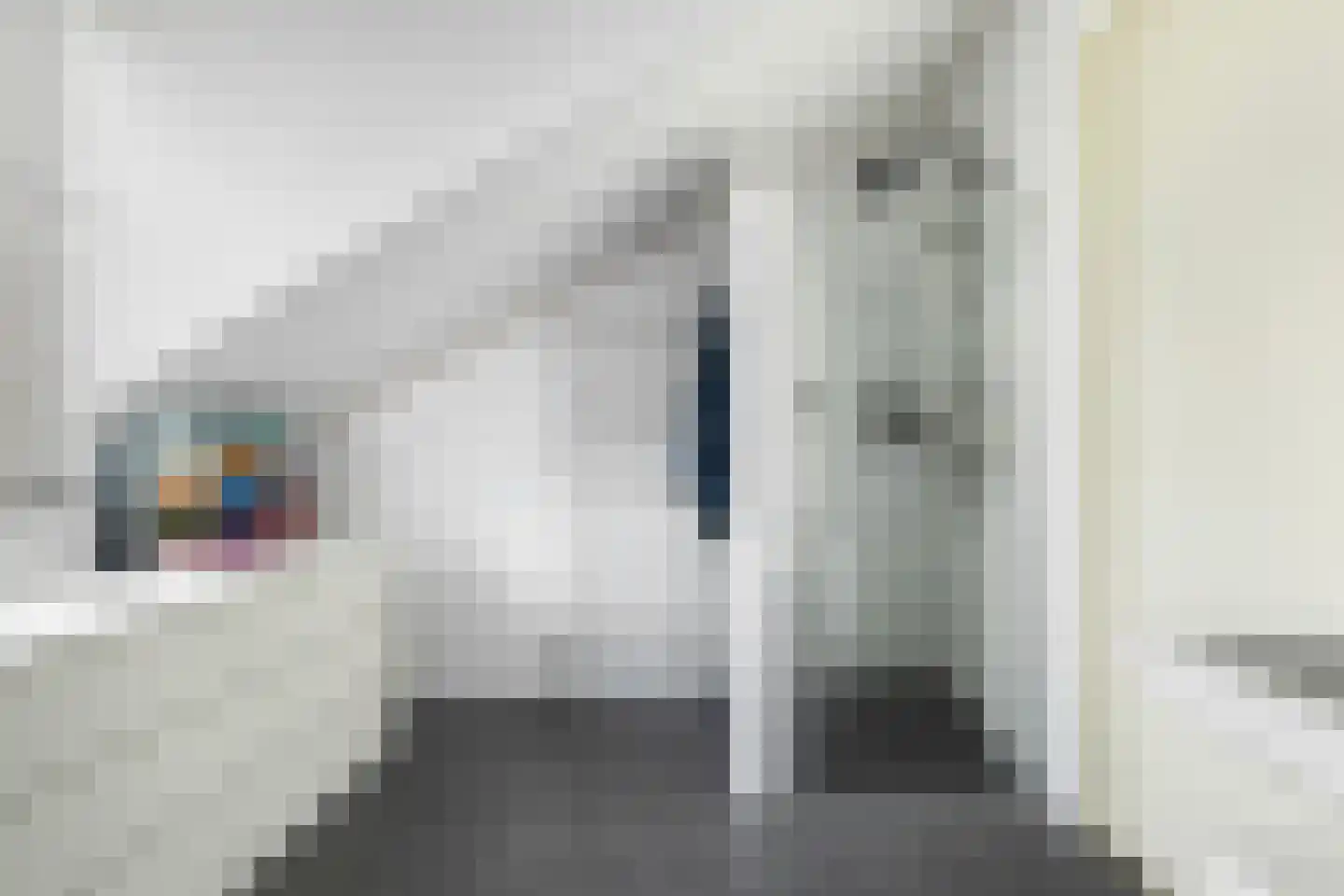 Keizersmantel 309 Sneek thumbnail 25