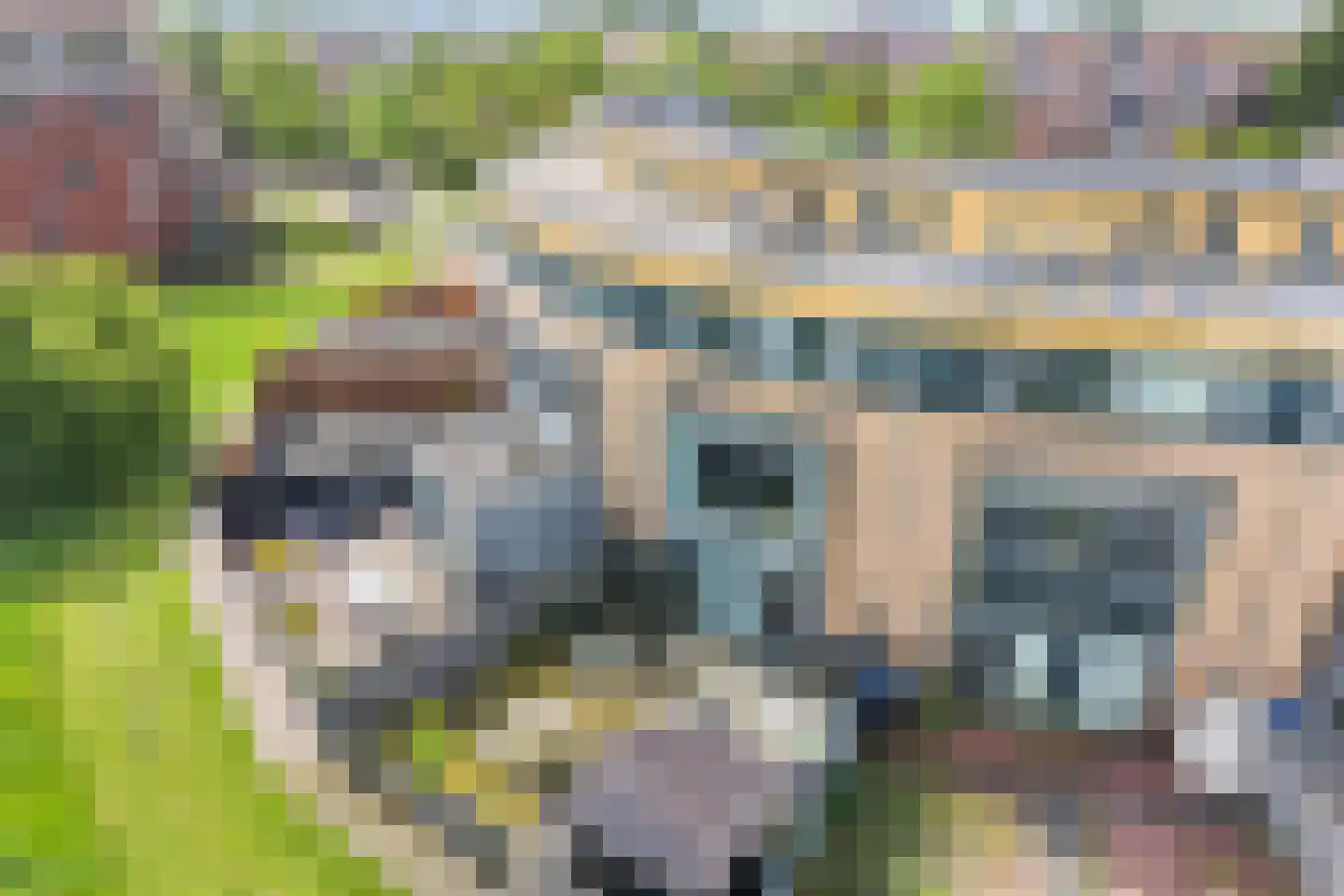 Keizersmantel 309 Sneek thumbnail 27
