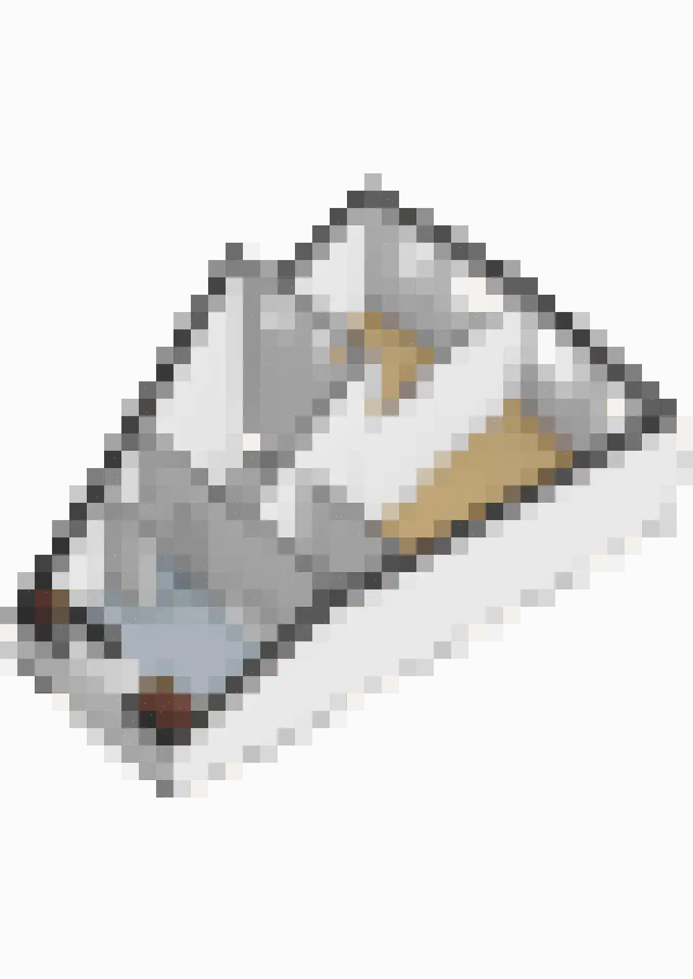 Keizersmantel 309 Sneek thumbnail 35