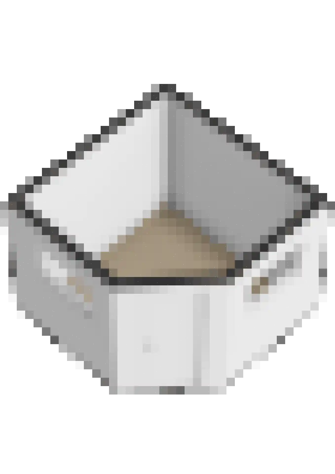 Keizersmantel 309 Sneek thumbnail 37