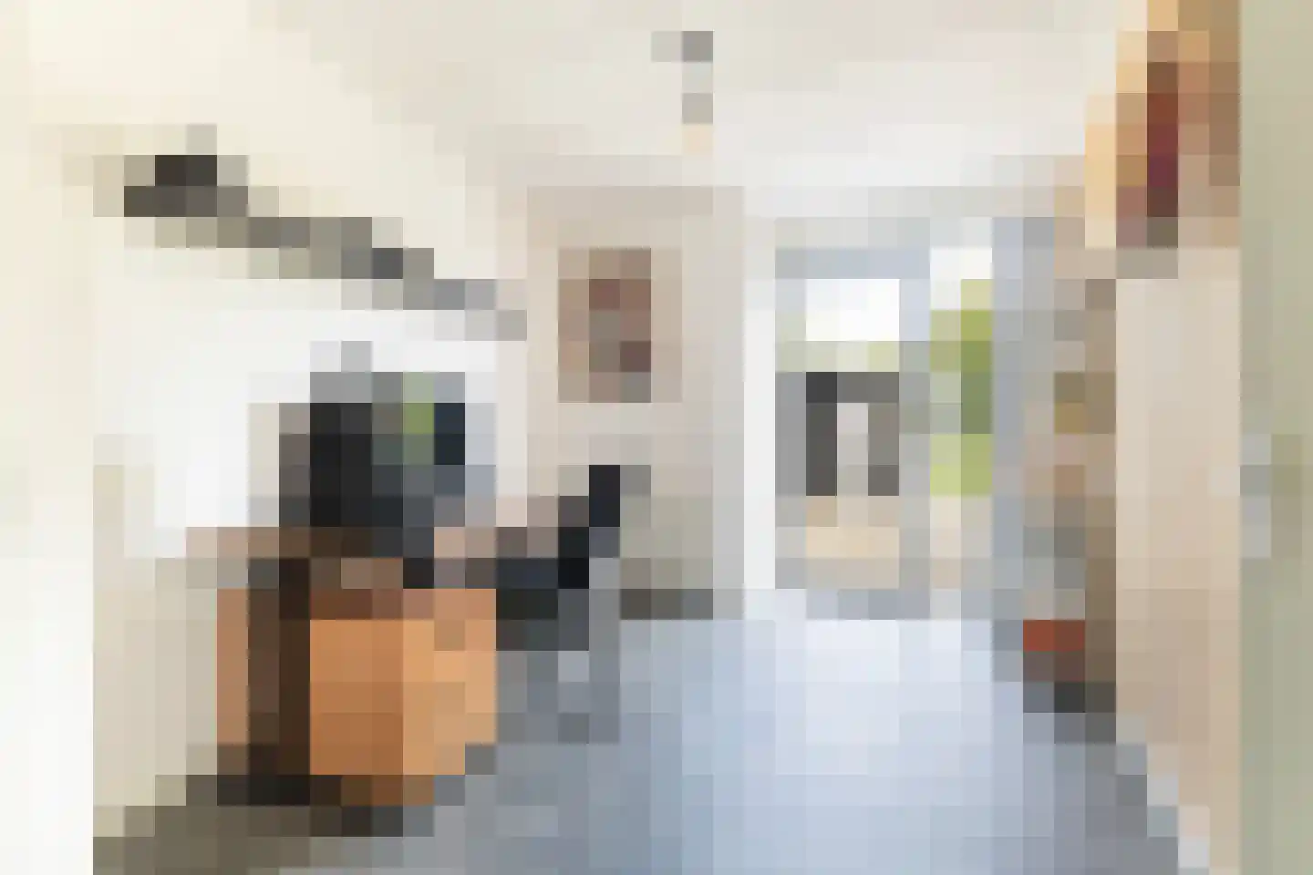 Keizersmantel 309 Sneek thumbnail 5