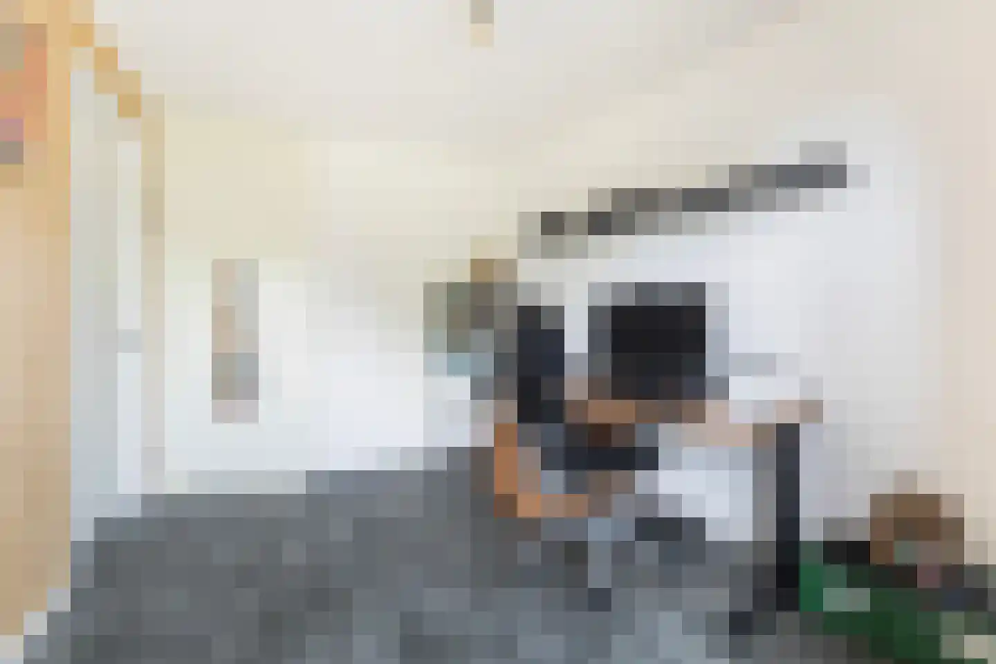 Keizersmantel 309 Sneek thumbnail 6
