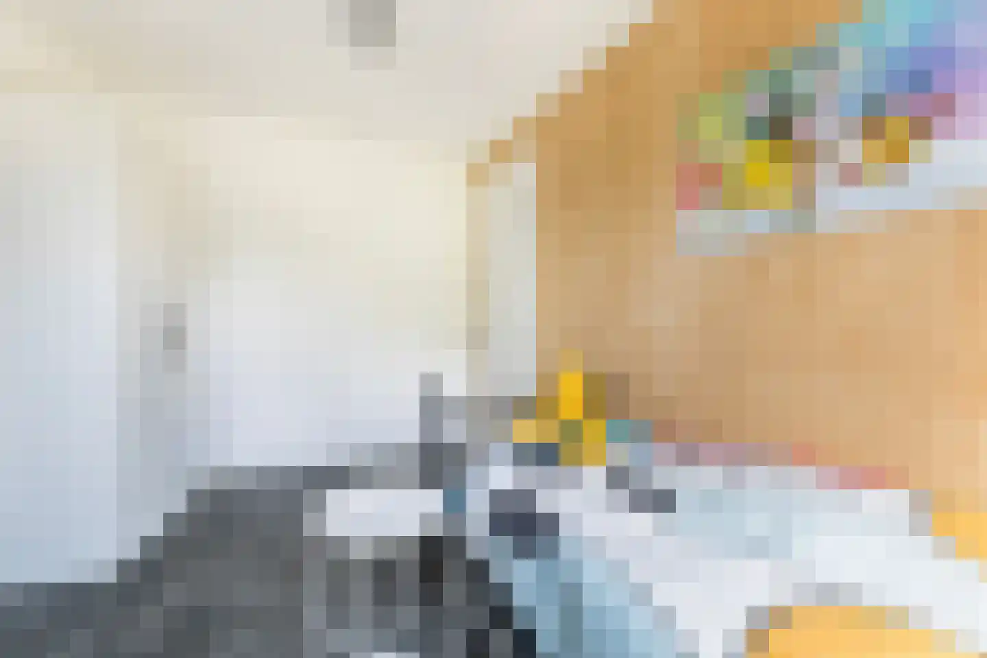 Keizersmantel 309 Sneek thumbnail 7