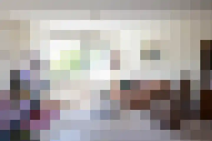 Keizersmantel 345 Sneek thumbnail 10